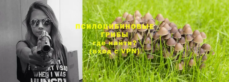 мега ССЫЛКА  купить закладку  Кукмор  Галлюциногенные грибы Cubensis 